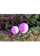 Бойлы Haldorádó N-Butyric Pop Up Big Carp Vajsav Szilva 13-17 mm - Кислота – Слива