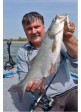Катушка Energofish L&K PROGUIDE 2000 8BB+1RB 5.1:1