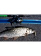 Катушка Energofish L&K PROGUIDE 2000 8BB+1RB 5.1:1
