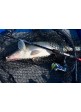 Катушка Energofish L&K PROGUIDE 2000 8BB+1RB 5.1:1