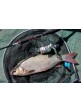 Котушка Banax Iris 4000 RD 4BB+1RB 5.2:1
