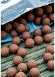 Бойли Dynamite Baits Big Fish Peppered Squid Boilie - Borsos Tintahal Etető Bojli 20mm 5kg