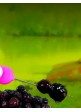 Тигровий горіх Dynamite Baits Frenzied Black Tiger Nuts - Fekete Főtt Óriás Tigrismogyoró 500ml